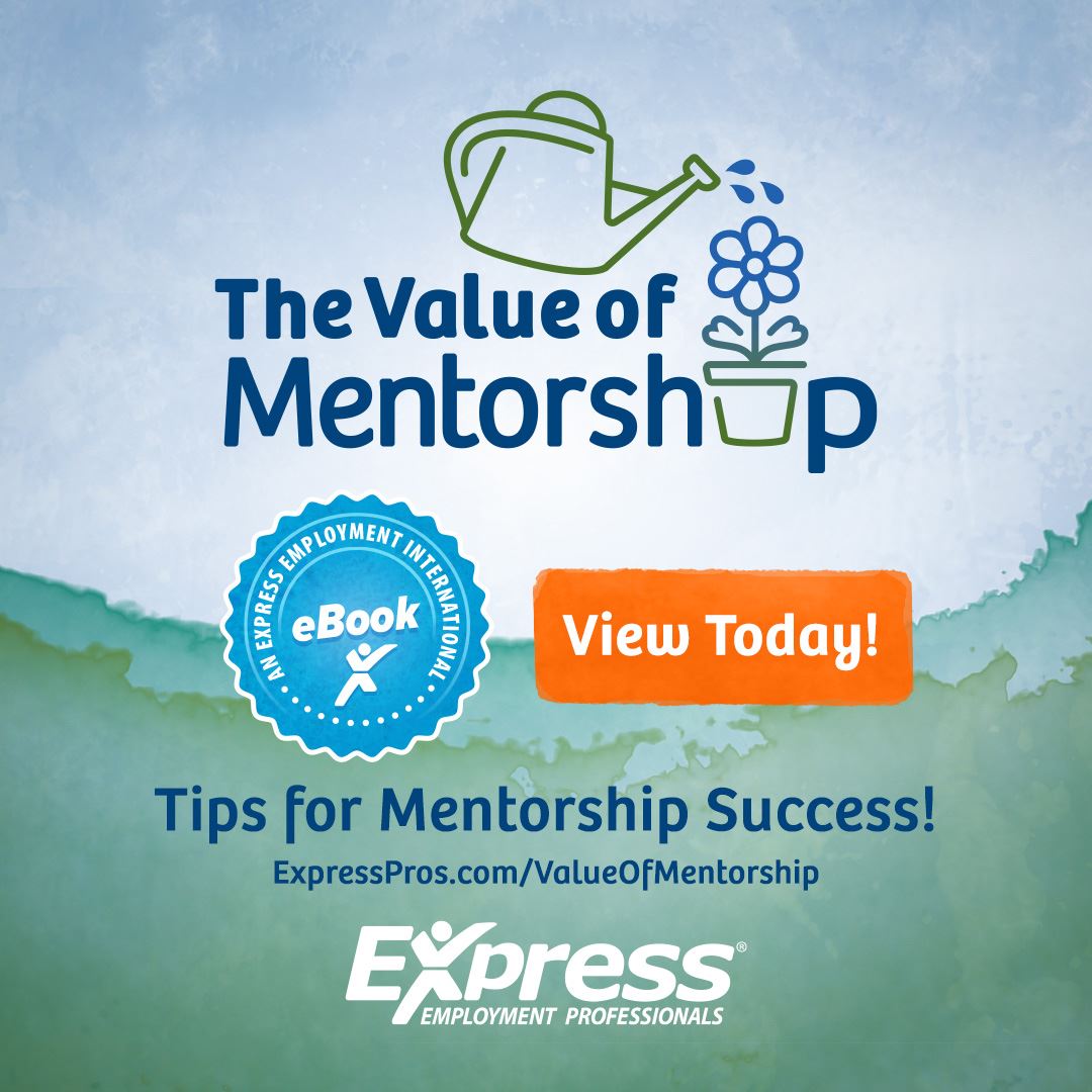 Value of Mentorship eBook